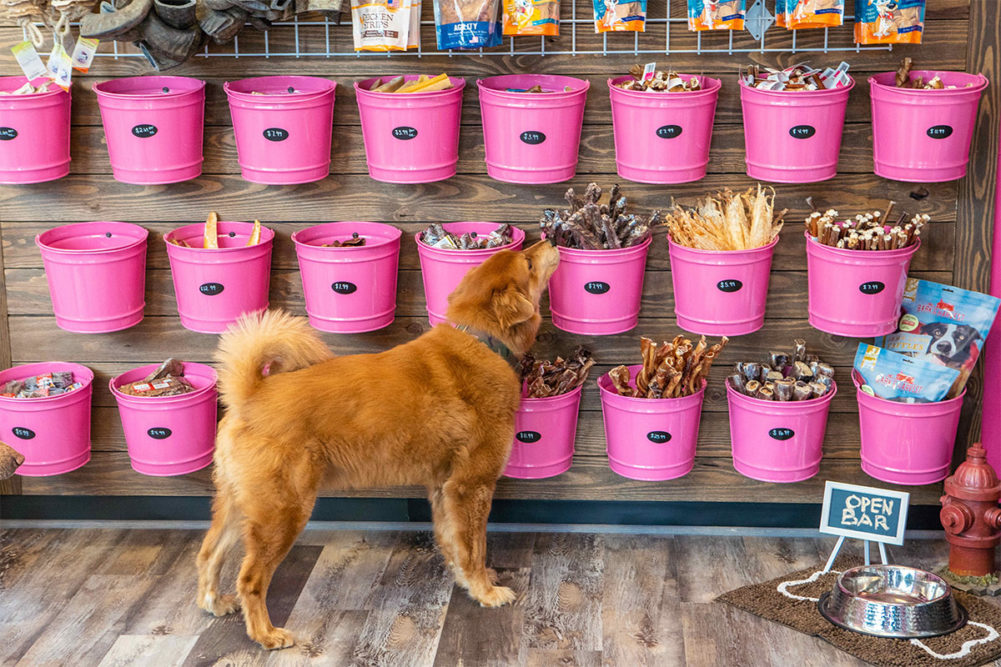 woof-gang-bakery-grooming-enters-illinois-pet-market-pet-food